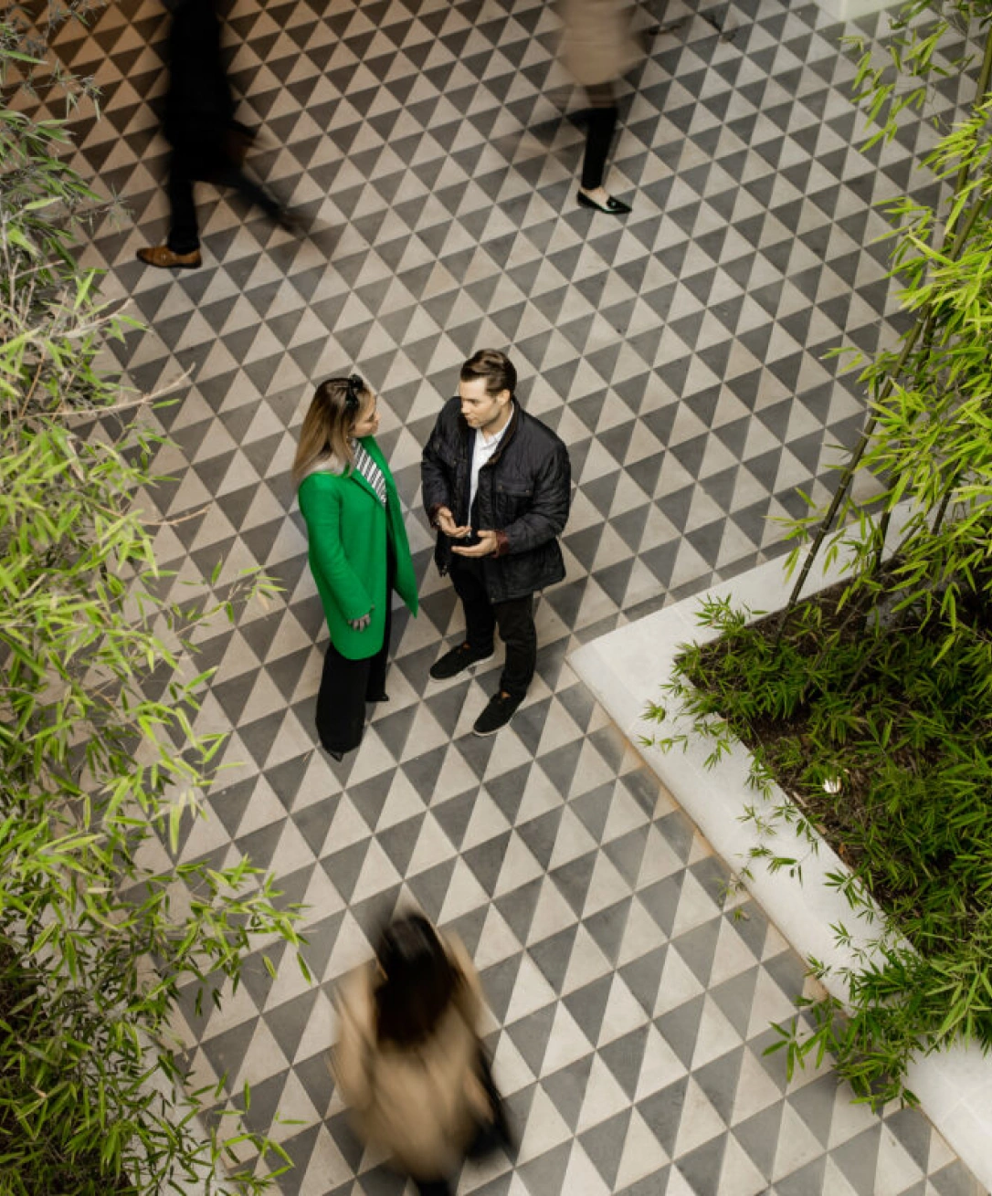 Business colleagues talking in indoor atrium with geometric floor design and surrounding greenery