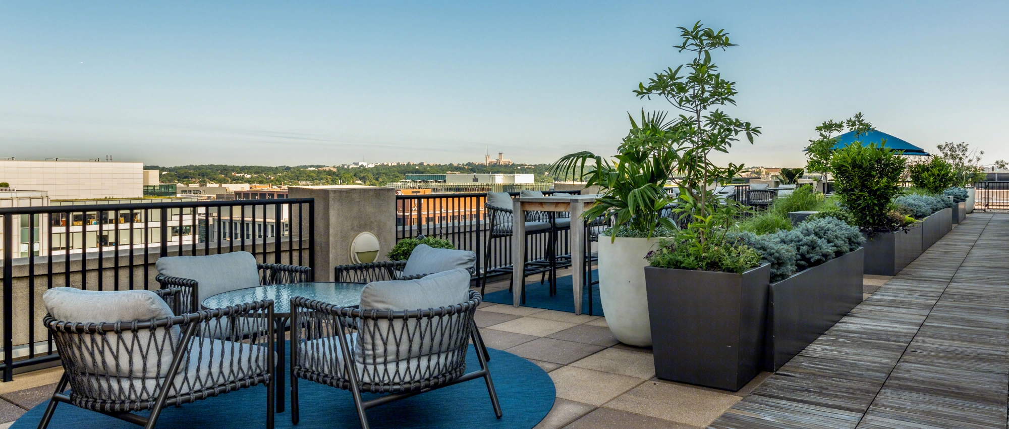 Contemporary rooftop lounge featuring comfortable chairs, greenery, and open skyline backdrop