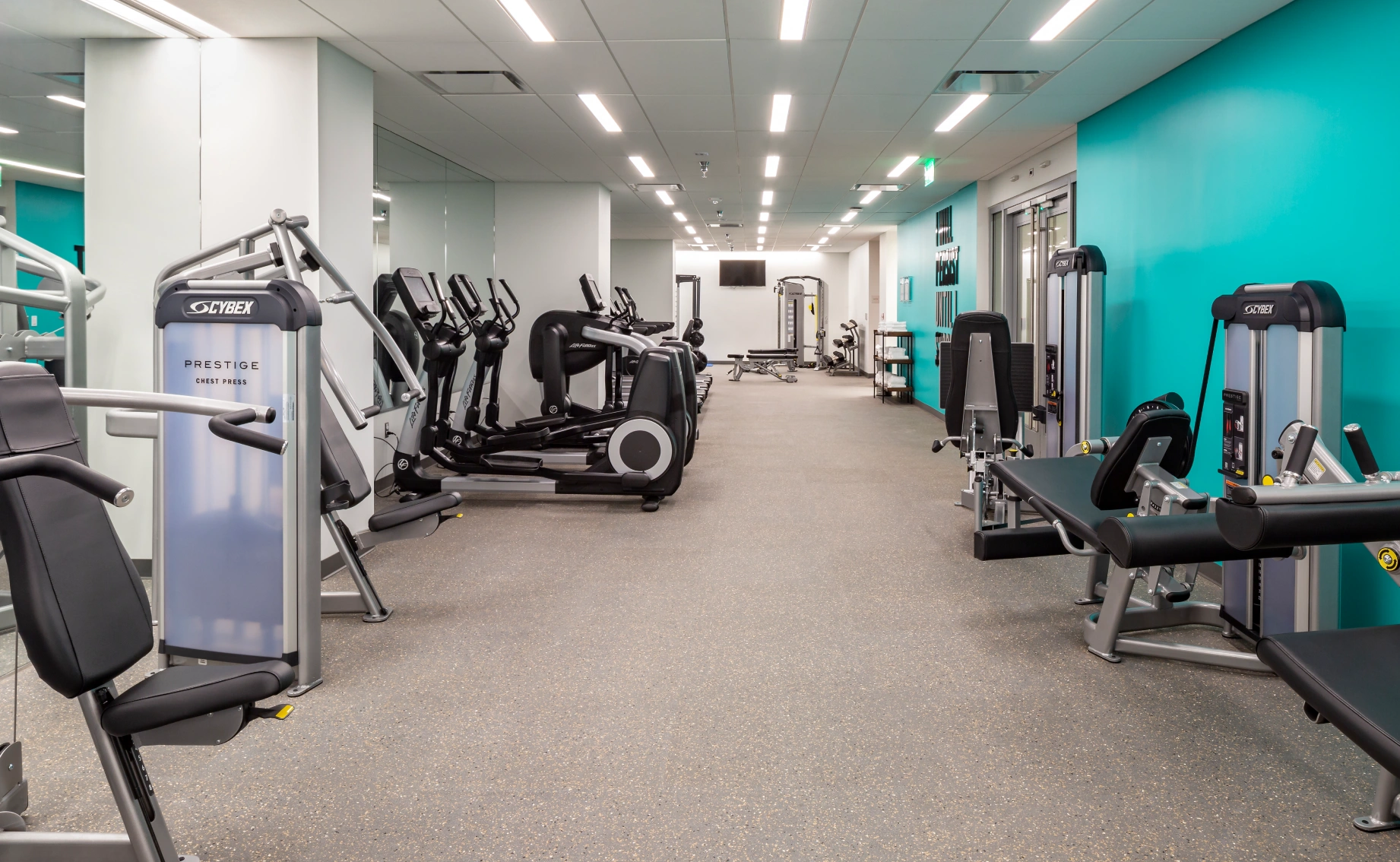 Contemporary office gym featuring treadmills ellipticals resistance machines clean layout and motivating design
