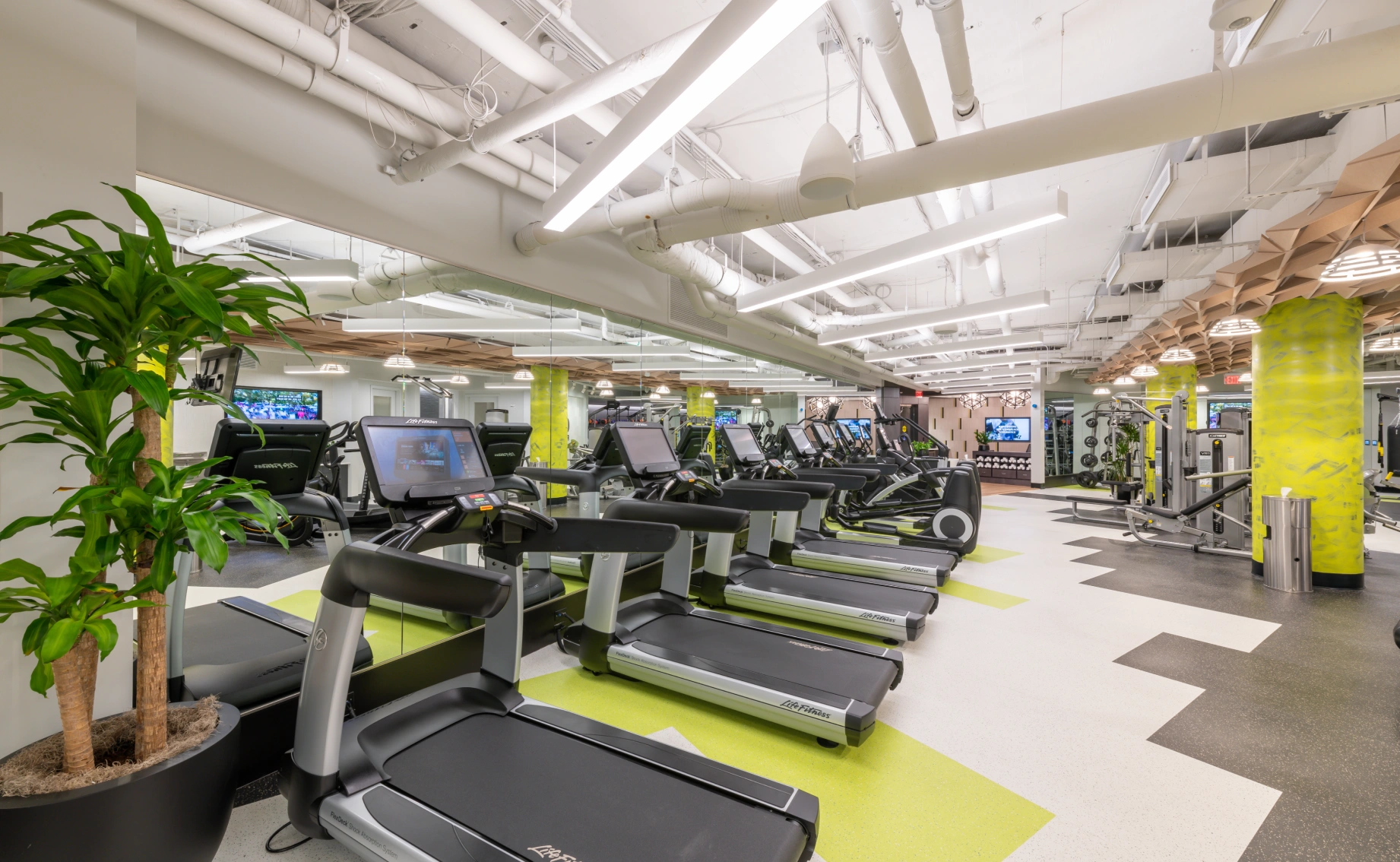 Contemporary apartment gym featuring rows of treadmills, mirrors, open layout, and modern lighting