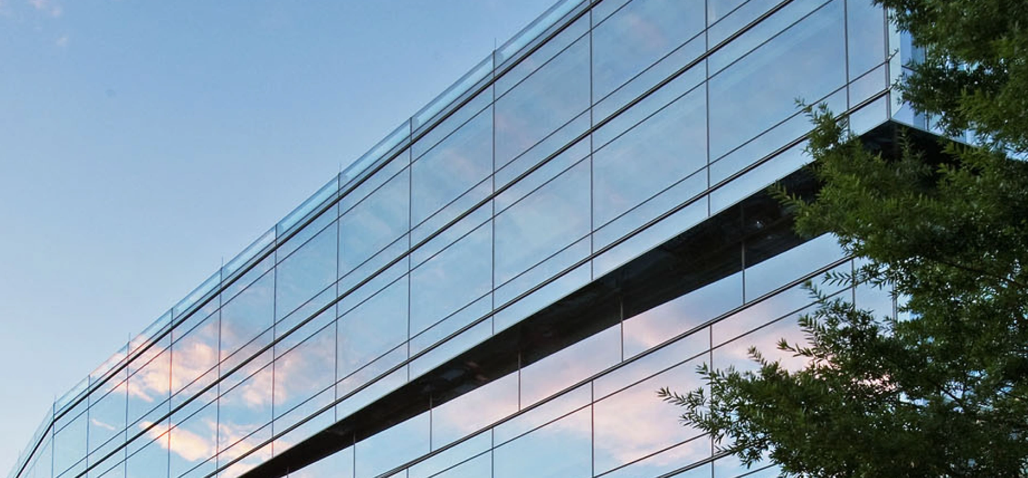 Contemporary corporate architecture featuring sleek glass façade with clean lines and natural reflections