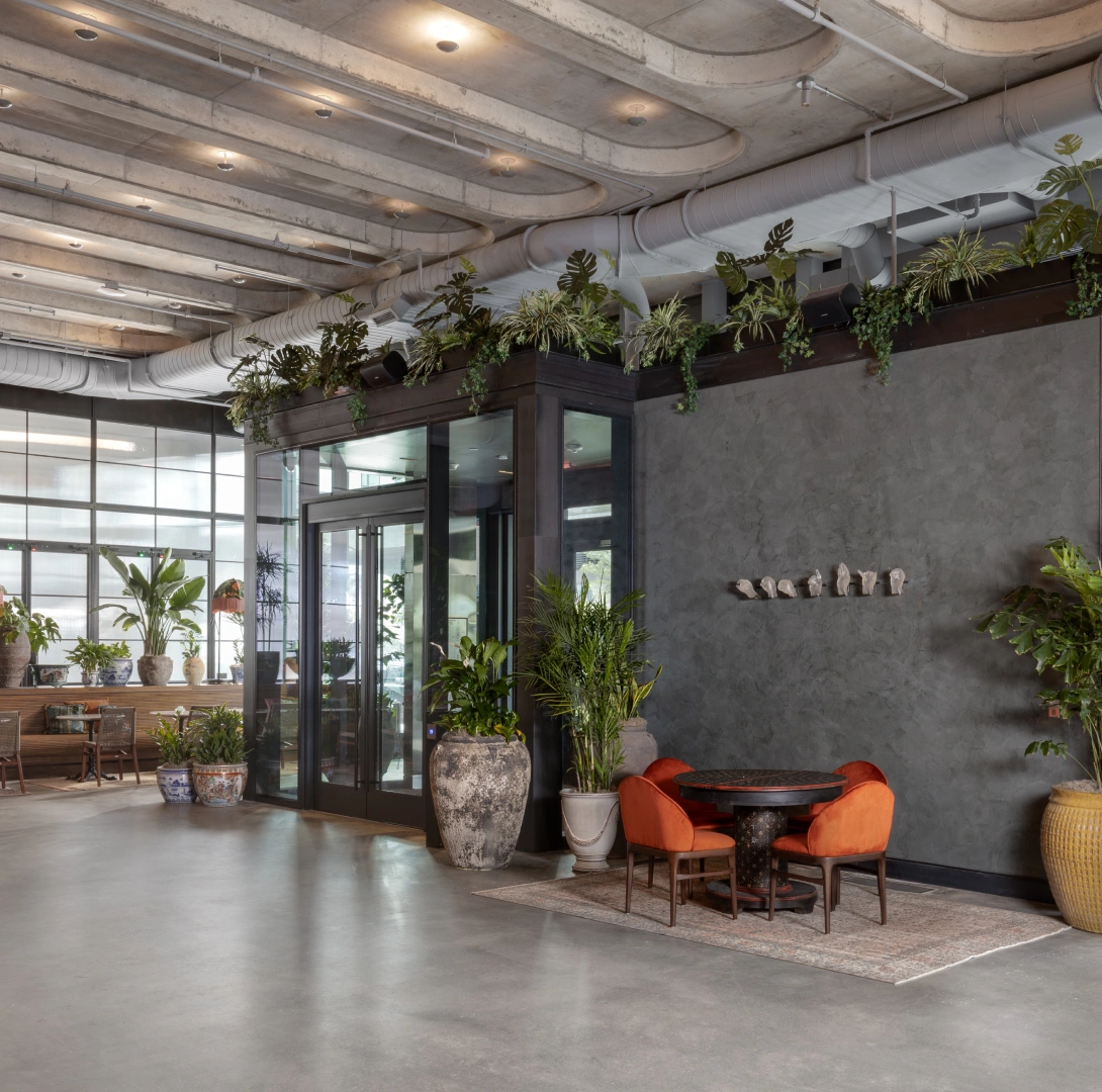 Design forward office common space showcasing indoor plants sculptural decor and casual seating