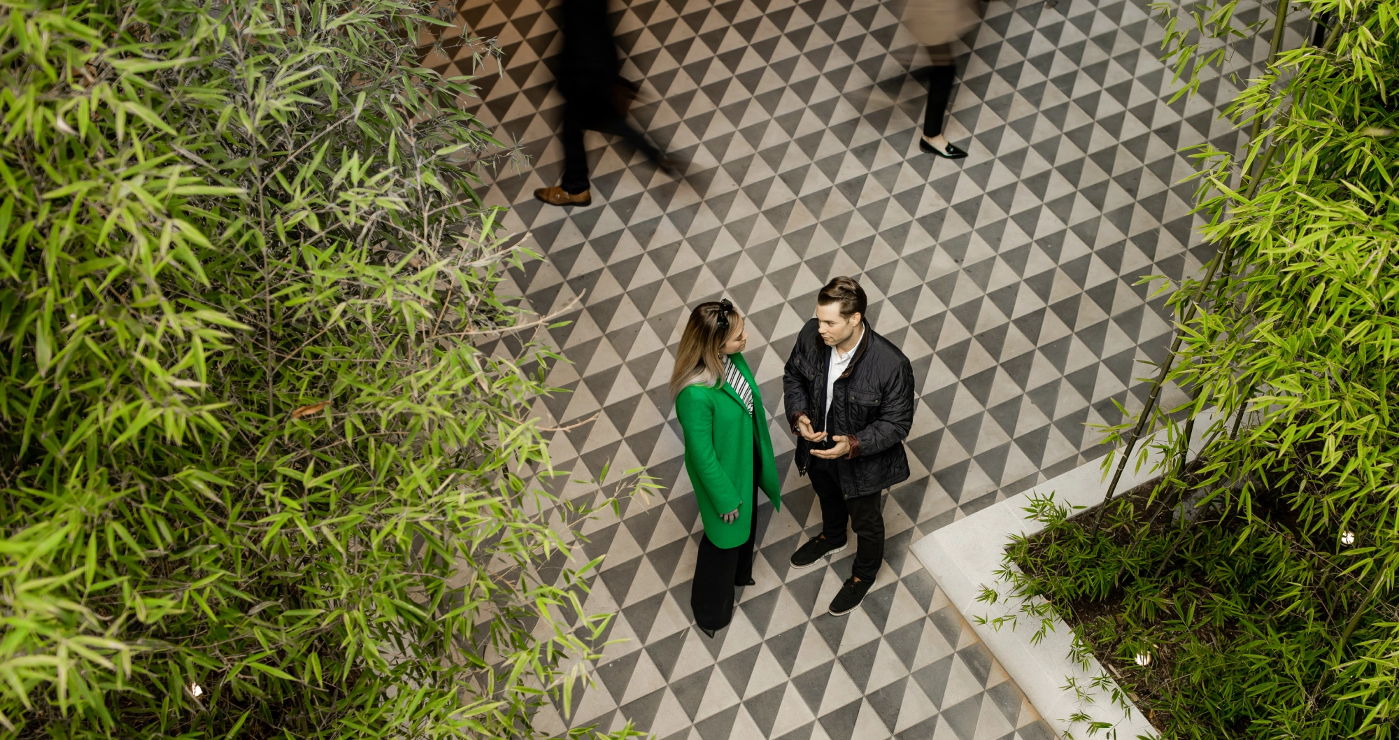Aerial interior view showing business conversation amid bamboo plants and contemporary tiled walkway