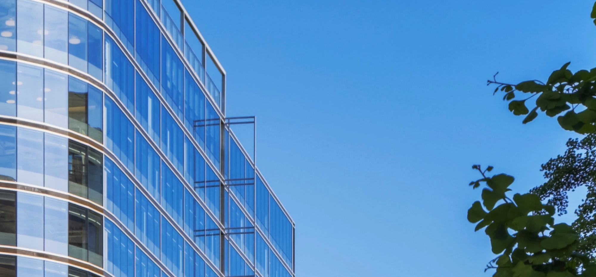Contemporary commercial building exterior featuring reflective glass panels and architectural metal framing